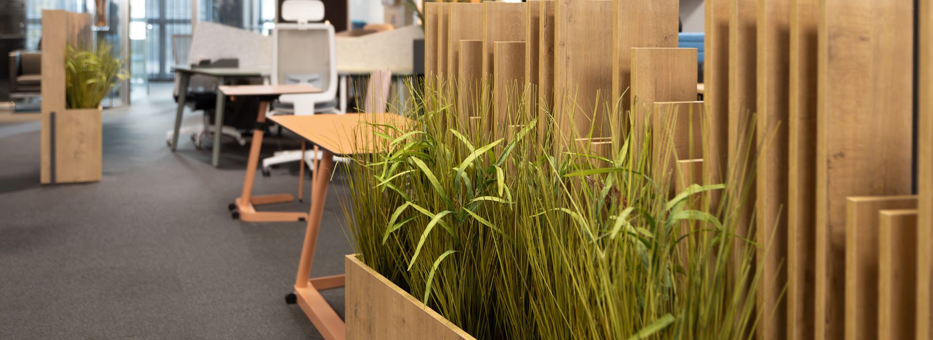 blog showroom barcelona 7